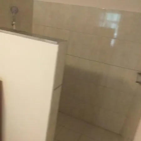 Kaktus * Szőlőshegy